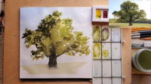 Как изобразить дерево. Дерево акварелью. #научитьсярисовать #учимсярисовать #дуб #акварель