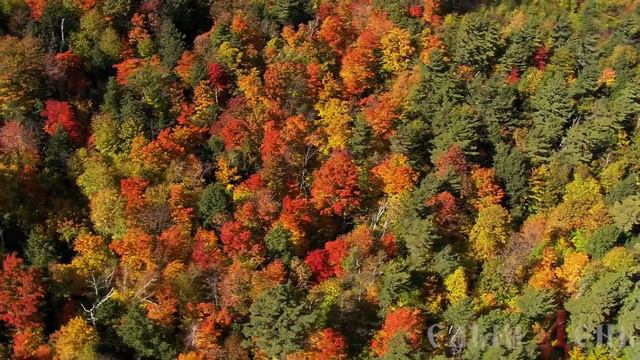 Поёт Валерий Сёмин, группа Белый день МАРЬЮШКА смотреть онлайн