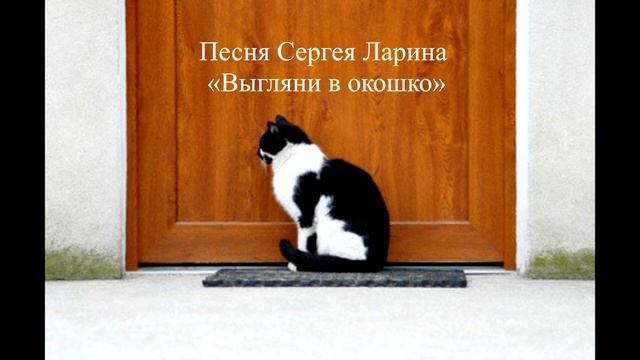 Дарья Сагалова не похожа на эту кошку смотреть онлайн