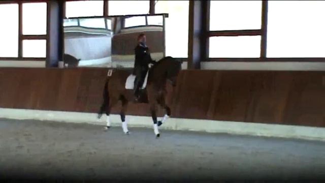 Klaus Balkenhol training Doreen Proos met Smile смотреть онлайн