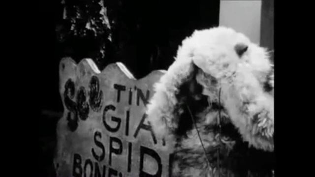 Henry the Otter short film trailer смотреть онлайн