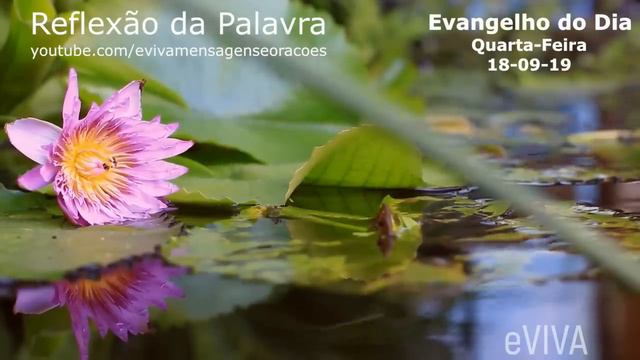 EVANGELHO DO DIA 18/09/2019 Narrado e Comentado - LITURGIA DIÁRIA - HOMILIA DIARIA HOJE смотреть онлайн