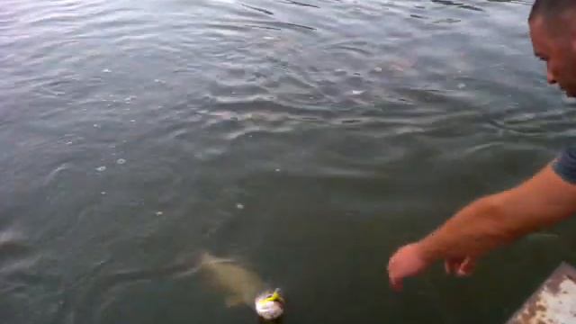 И зачем нам сачёк (с матерком) смотреть онлайн