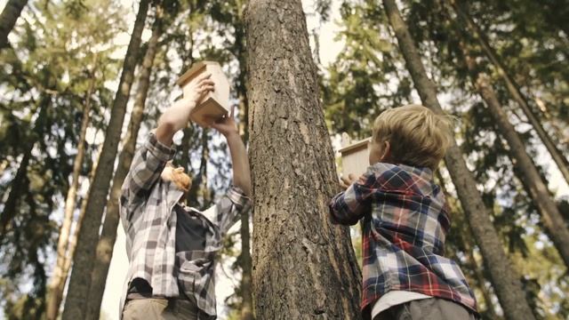 Уникальные автомобильные модели