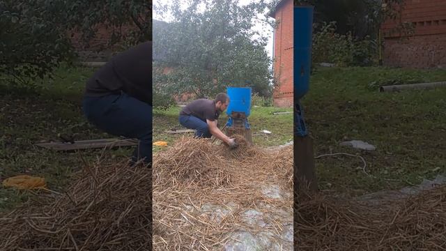 Выращивание шампиньонов в подвале Часть №1 резка соломы смотреть онлайн