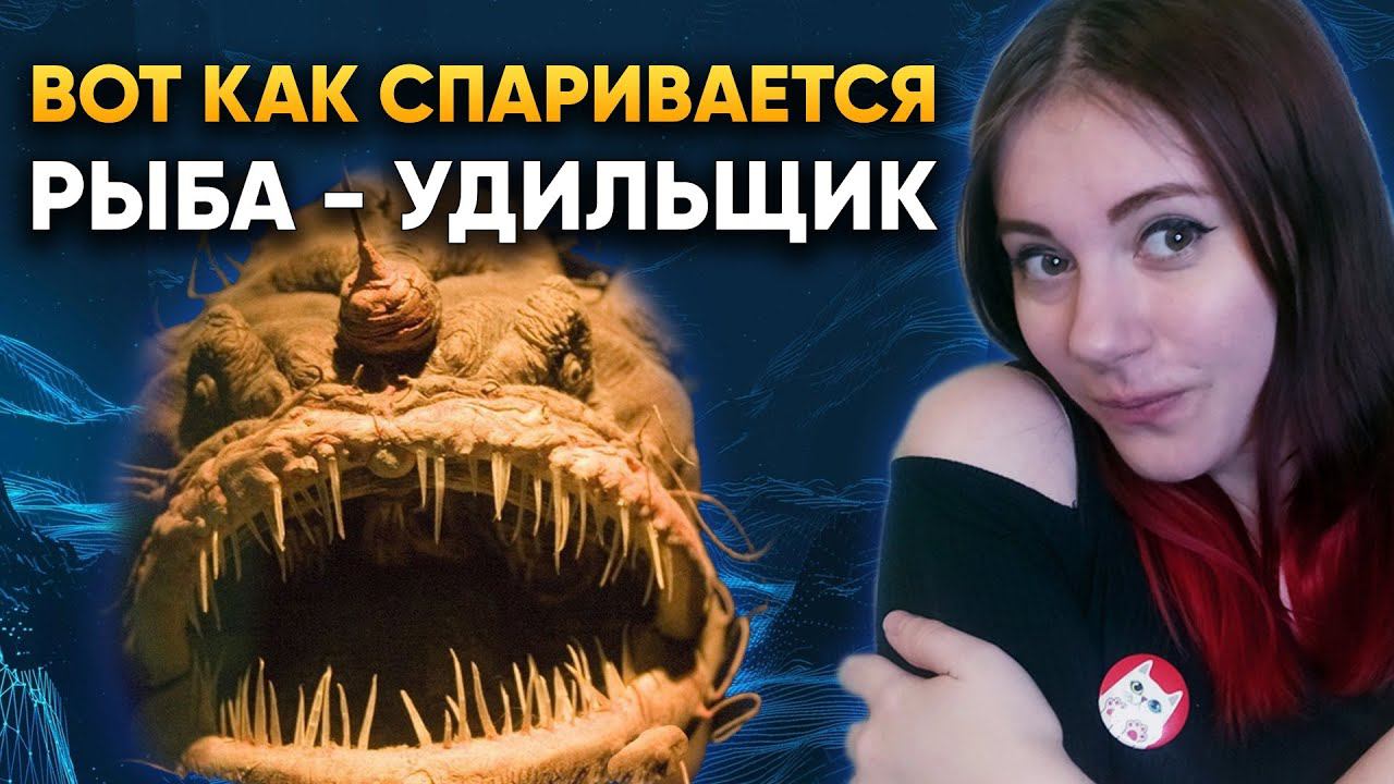 Вот как спаривается рыба-удильщик | DeeaFilm смотреть онлайн
