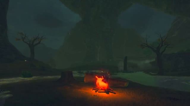 Relaxing Zelda Music With Campfire Ambience.