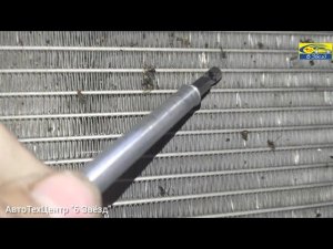 защитная сетка в бампер Веста