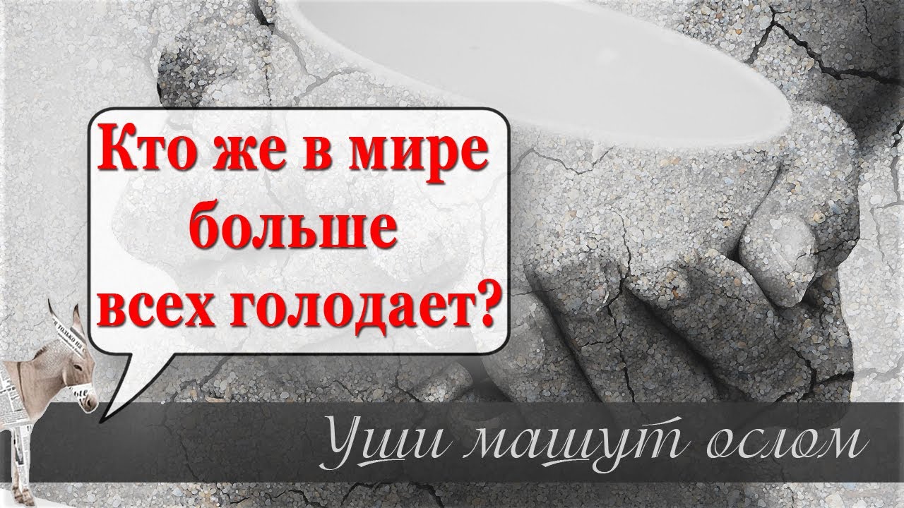 Кто же в мире больше всех голодает? | Уши машут ослом (№94).