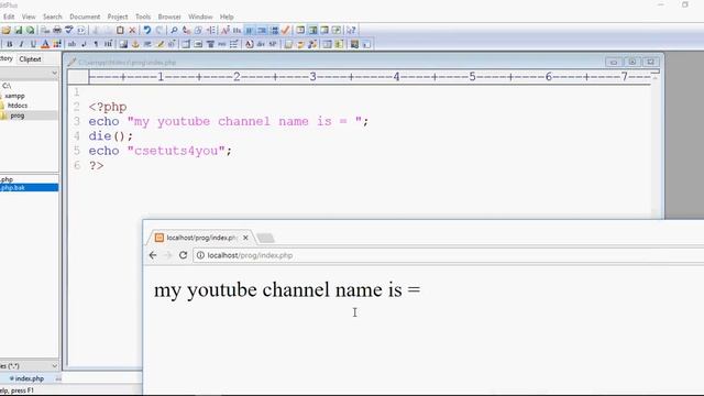 Php Tutorial For Beginners Series 28 Die, Exit Function смотреть онлайн