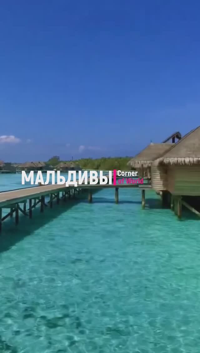 Shorts || МАЛЬДИВЫ - Прибытие на виллу вашей мечты НАД ВОДОЙ #Мальдивы #Shorts смотреть онлайн