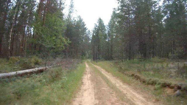 Лужский полигон 30 июня CUT смотреть онлайн