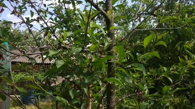 Стройка Стиля