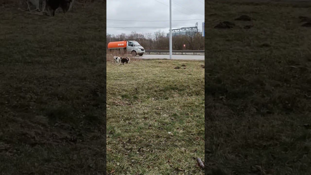 Травяные ванны смотреть онлайн