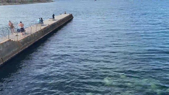 Севастополь, конец сентября. Что происходит на пляже в Парке А. Ахматовой. Собака учиться плавать. смотреть онлайн