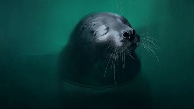 022. ЗАГАДОЧНЫЕ ОБИТАТЕЛИ ОКЕАНА | 818 НАНДИ И 808 БАСМАКИ | relax смотреть онлайн