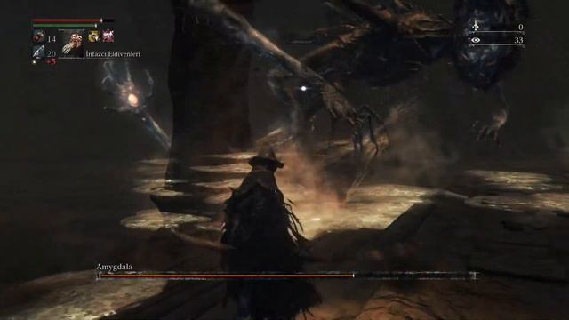 Bloodborne cursed chalice amygdala vs 99 arcane for waning gem смотреть онлайн