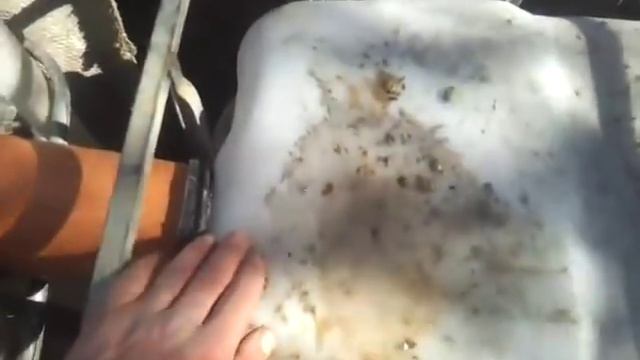 Септик из Еврокуба смотреть онлайн