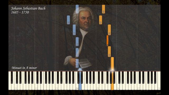 JS Bach - Minuet in A Minor | Piano Synthesia Tutorial | Library of Music смотреть онлайн