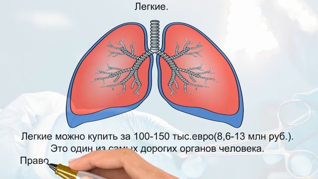 донорские органы сколько стоит человек смотреть онлайн