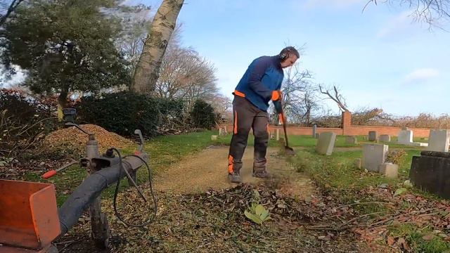 Stihl MSA220 Shrub Trimming | Improving your garden over winter | HOW TO HARD PRUNE A RHODODENDRON смотреть онлайн
