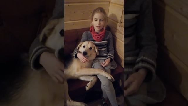 На даче, человек собаке друг смотреть онлайн