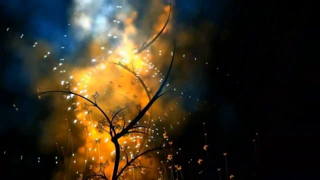 Футаж-Много бабочек смотреть онлайн