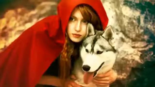 glamurDOG™✔️ ?ОДЕЖДА и ОБУВЬ для собак? #glamurDOG #8 смотреть онлайн