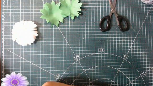 Ромашка - символ Дня семьи смотреть онлайн