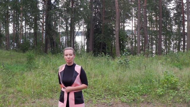 Элитные участки в лесу на берегу Лемболовского озера смотреть онлайн