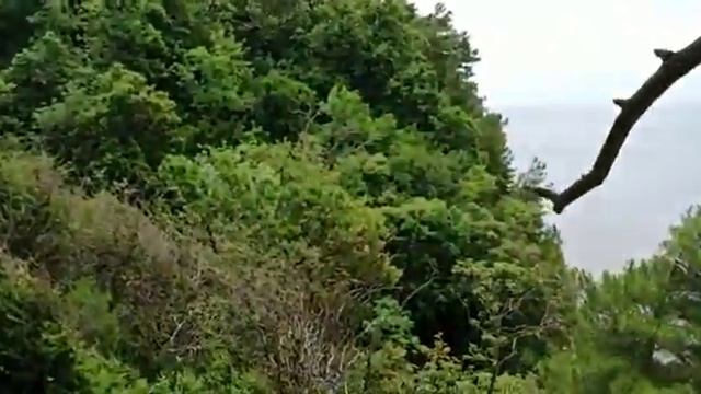 Посёлок "Агрия" Море смотреть онлайн