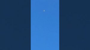 серпастые голуби в Ростове-на-Дону у Георгия