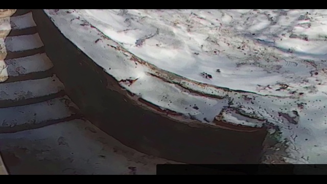 Под окном 2019 март 02 птичка живность смотреть онлайн