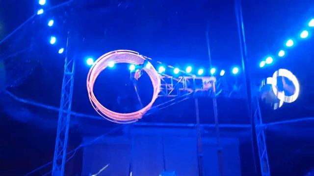 Цирк "Золотой Дракон" смотреть онлайн