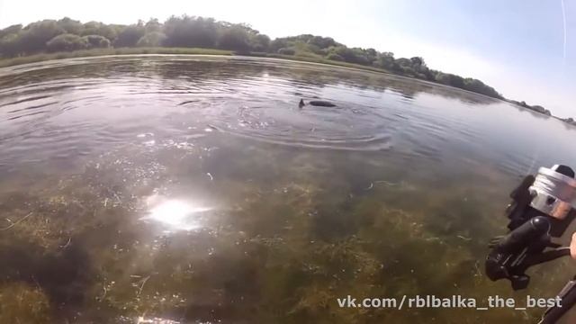 Как обманывают Рыбаков на платных прудах!Жесть!Я бы никогда не подумал - Рыбалка -платный пруд обма смотреть онлайн