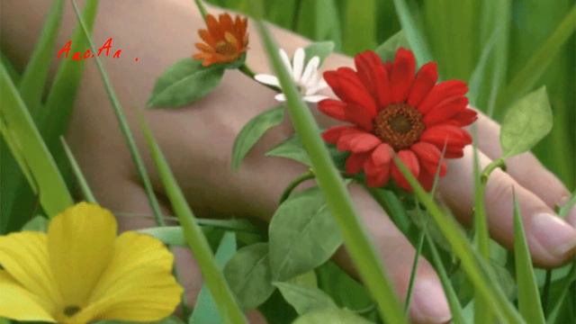 Я ИДУ ТЕБЕ НАВСТРЕЧУ смотреть онлайн