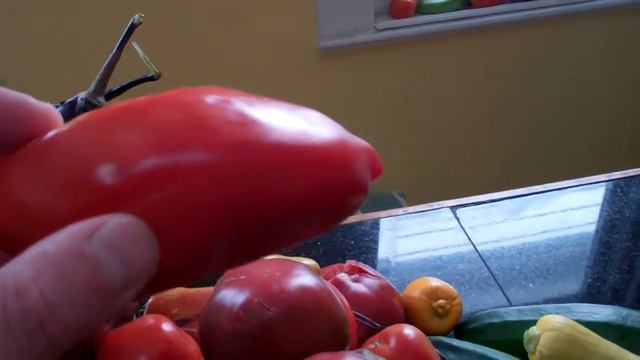 The End Of Tomato Harvest - Enough To Decorate Our Kitchen! смотреть онлайн
