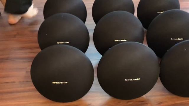 Harman kardon onyx studio 4 - thử âm 9 loa onyx studio 4 смотреть онлайн