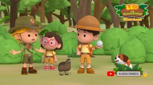 🦚 LARGEST BIRDS! 🦉 Storks, Pheasants, Emu & more! 🦃 | Leo the Wildlife Ranger | Kids Cartoons