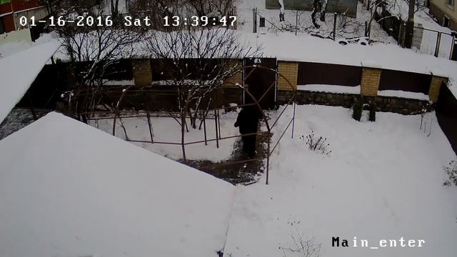 Охрана объектов и частной территории 4 смотреть онлайн