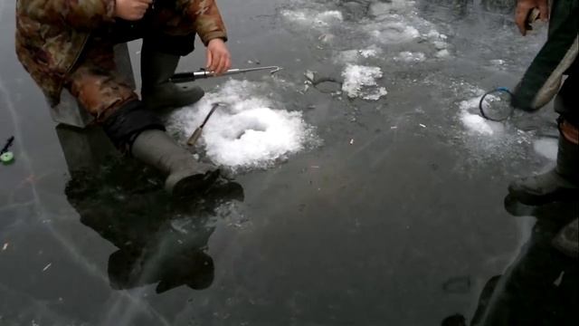 Вываживание сазана на подледной рыбалке смотреть онлайн