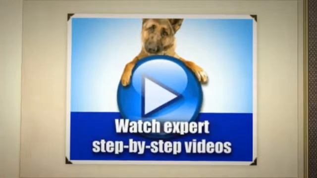 Online Dog Trainer Training Manual смотреть онлайн