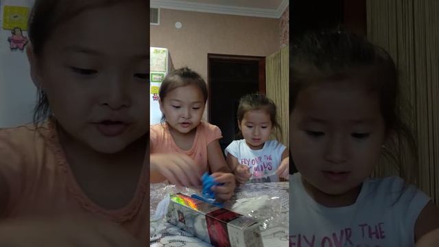 Айсана и Айлана блогеры