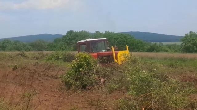 Land clearing, Stara Zagora, Bulgaria смотреть онлайн
