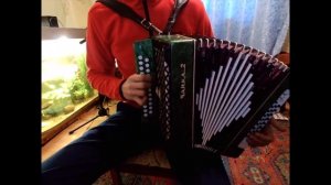 Комбайнеры. Игорь Растеряев. На гармони.