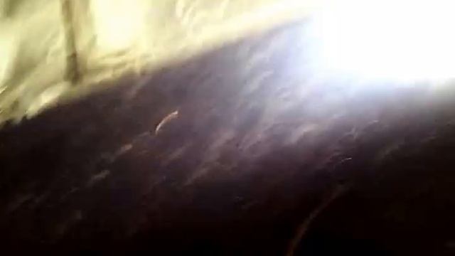 РАУМ # 2 смотреть онлайн