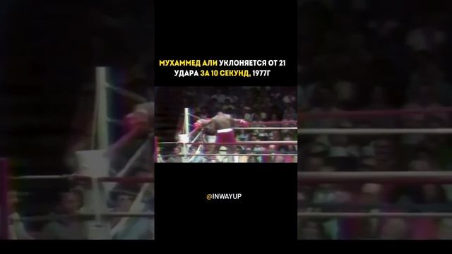 Мухаммед Али Легенда? смотреть онлайн