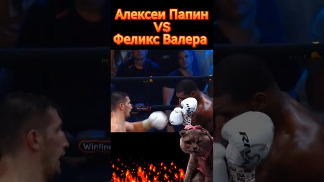 Алексей Папин VS Феликс Валера.Бокс.Нокаут смотреть онлайн