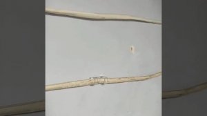 Новый лайфхак для дома как аккуратно спрятать провода