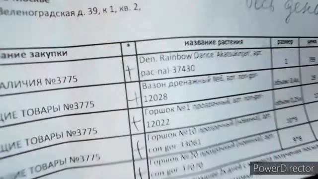 Новинки орхидей. Rth. Chialin Black Flower, Den. Trantuanii, Den. Rainbow Dance `Akatsukinjan`